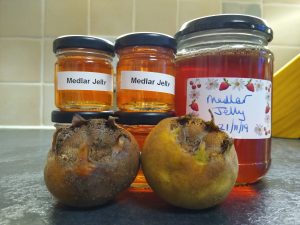 Jars of medlar jelly with fruit