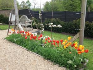 New Apple Espaliers in the former Tenant's Garden