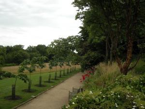 Grandfather's Walk