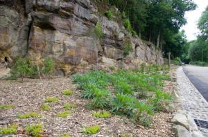 Phil Marsden 2013
