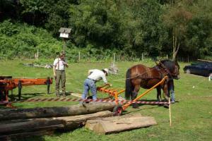 William Wallace & Working Horse Trust