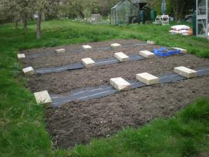 2009 Tenant's Garden