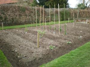 2009 Fruit bed planted
