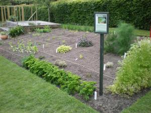 2009 Herb bed planted up