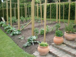 2009 Fruit Cage being built