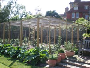 2009 Fruit cage finished