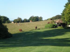The Ha-Ha keeping the cows out