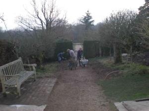 2009 Removing the rose hedge and grass underneath the apple espaliers