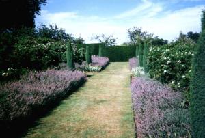 Rose Garden in 1996