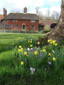 Heralds of Spring on the Green