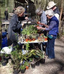 Elaine running the Plant Stall