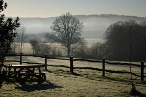 Winter View towards Ashdown Forest