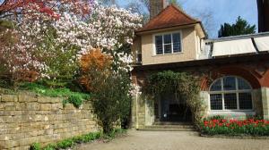 Magnolias and Tulips near the House