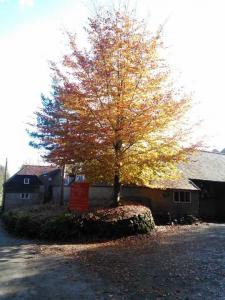 stableyard